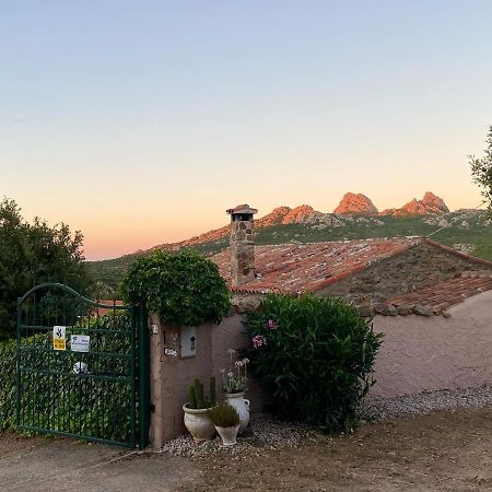 B&B La Tasgia Aggius Dış mekan fotoğraf
