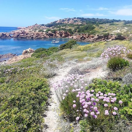 B&B La Tasgia Aggius Dış mekan fotoğraf