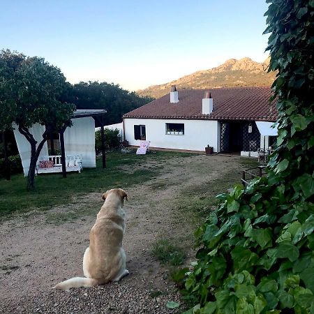 B&B La Tasgia Aggius Dış mekan fotoğraf