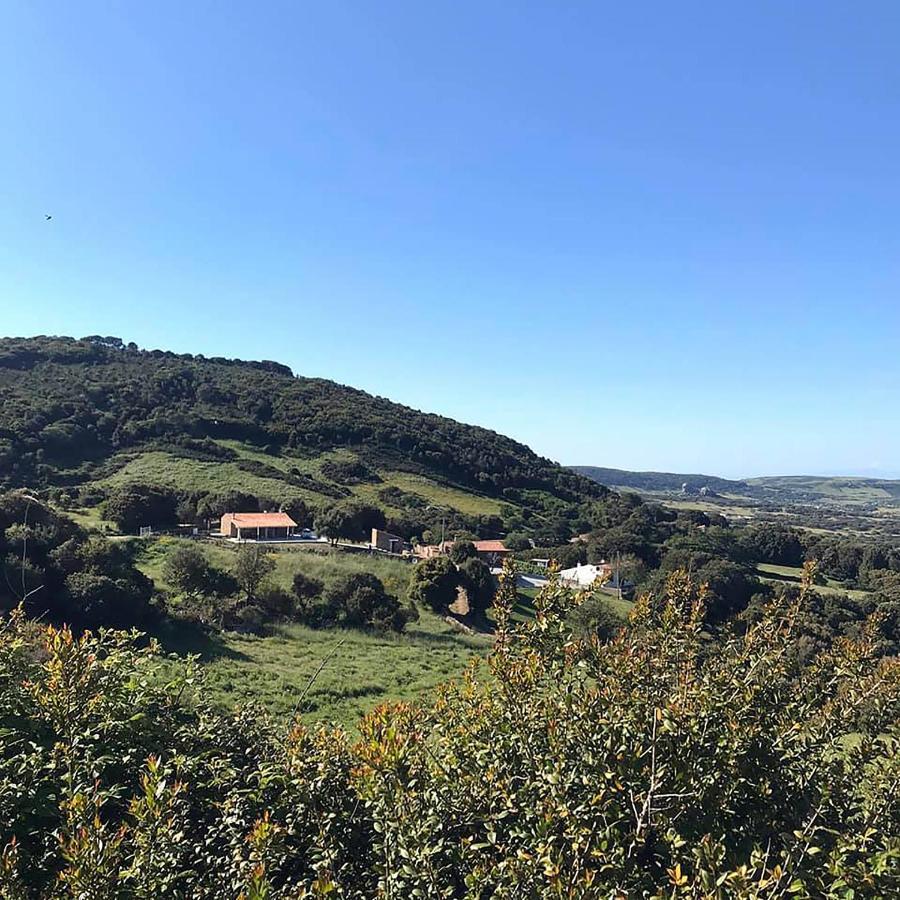 B&B La Tasgia Aggius Dış mekan fotoğraf