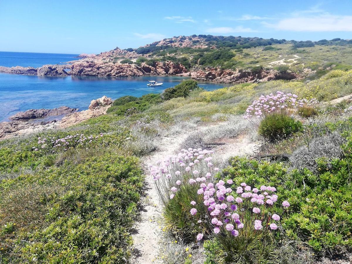B&B La Tasgia Aggius Dış mekan fotoğraf