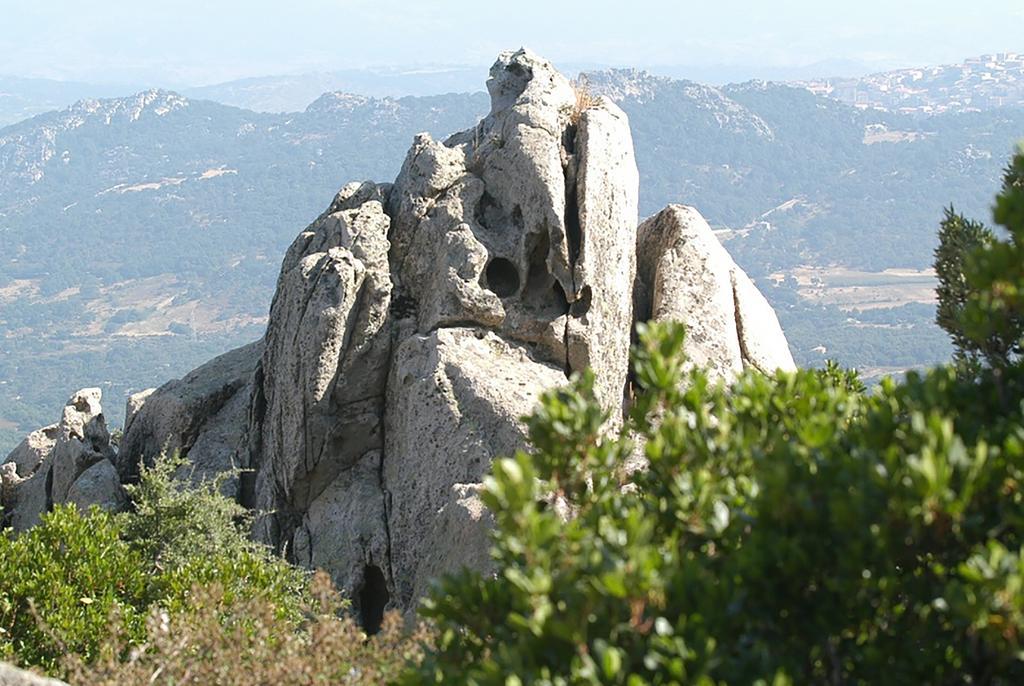 B&B La Tasgia Aggius Dış mekan fotoğraf