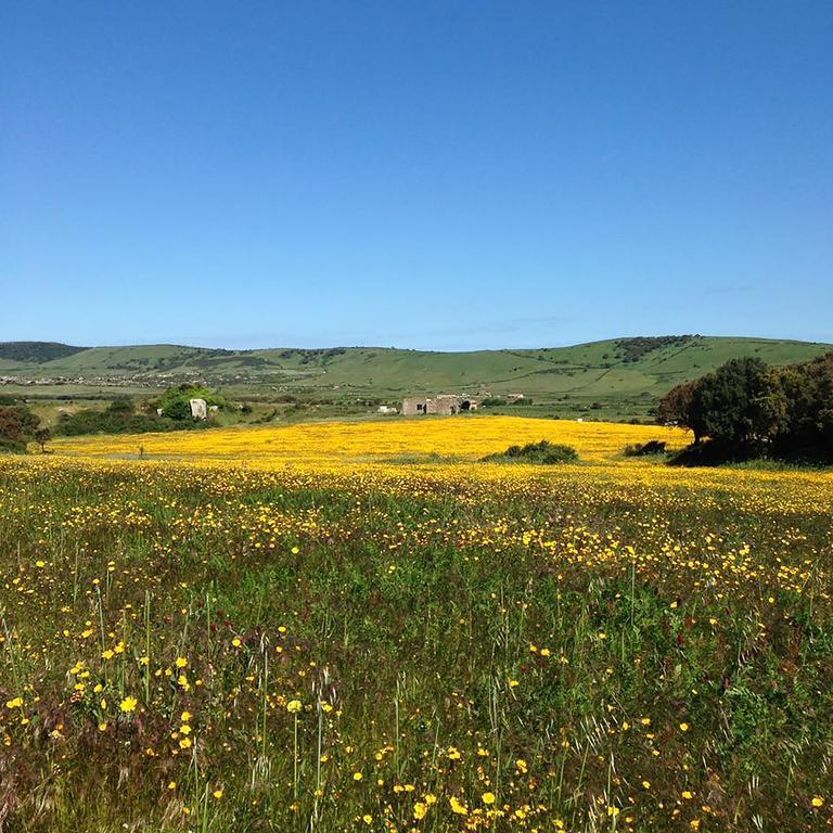 B&B La Tasgia Aggius Dış mekan fotoğraf