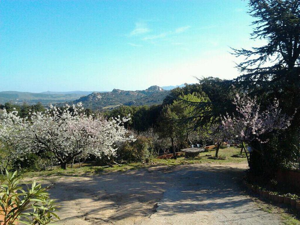 B&B La Tasgia Aggius Dış mekan fotoğraf