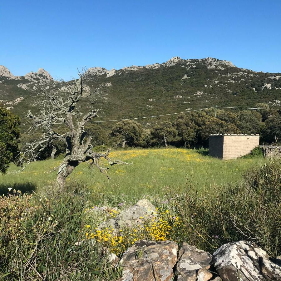 B&B La Tasgia Aggius Dış mekan fotoğraf