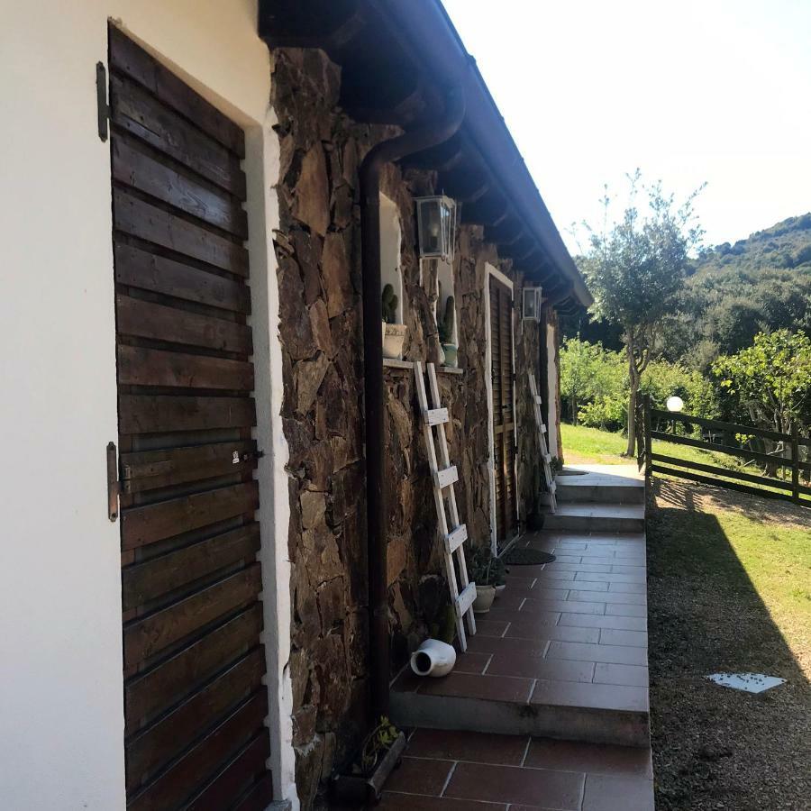 B&B La Tasgia Aggius Dış mekan fotoğraf