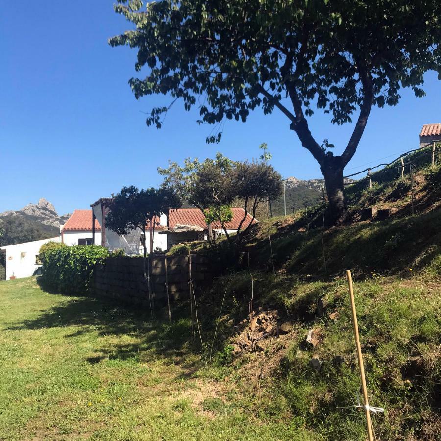 B&B La Tasgia Aggius Dış mekan fotoğraf