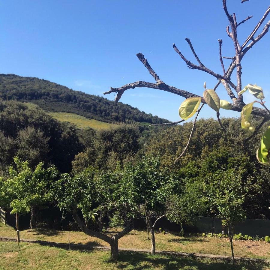 B&B La Tasgia Aggius Dış mekan fotoğraf
