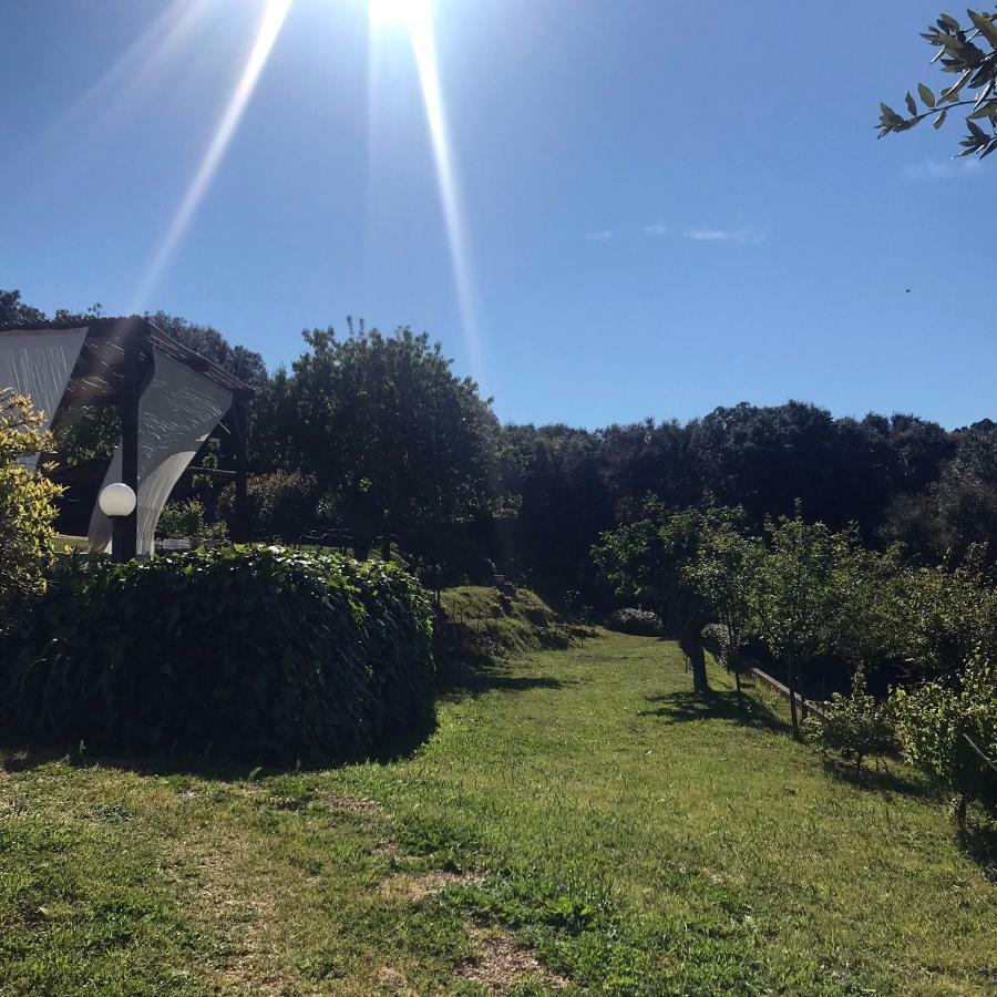 B&B La Tasgia Aggius Dış mekan fotoğraf