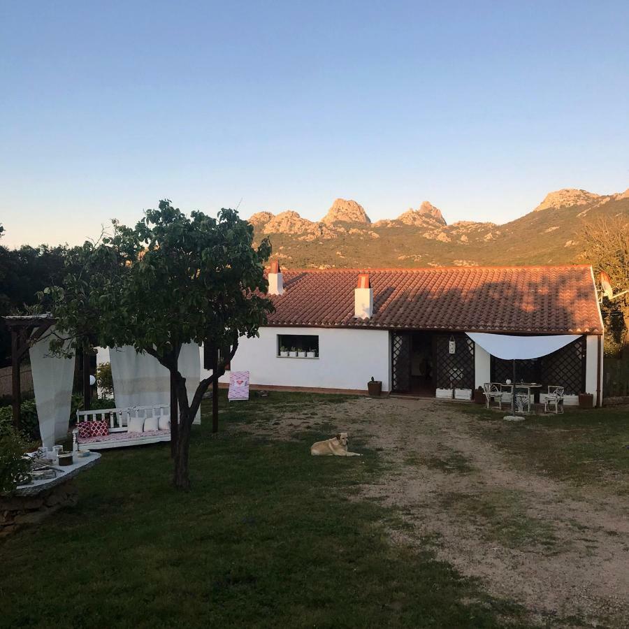 B&B La Tasgia Aggius Dış mekan fotoğraf