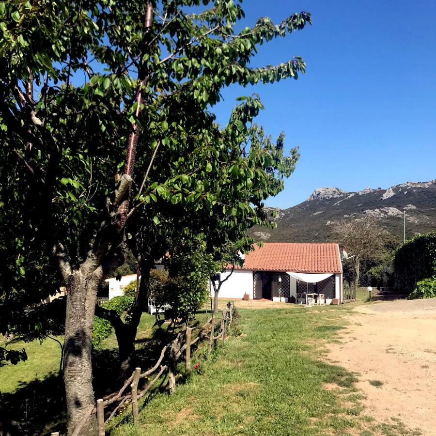 B&B La Tasgia Aggius Dış mekan fotoğraf