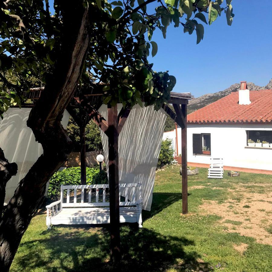 B&B La Tasgia Aggius Dış mekan fotoğraf