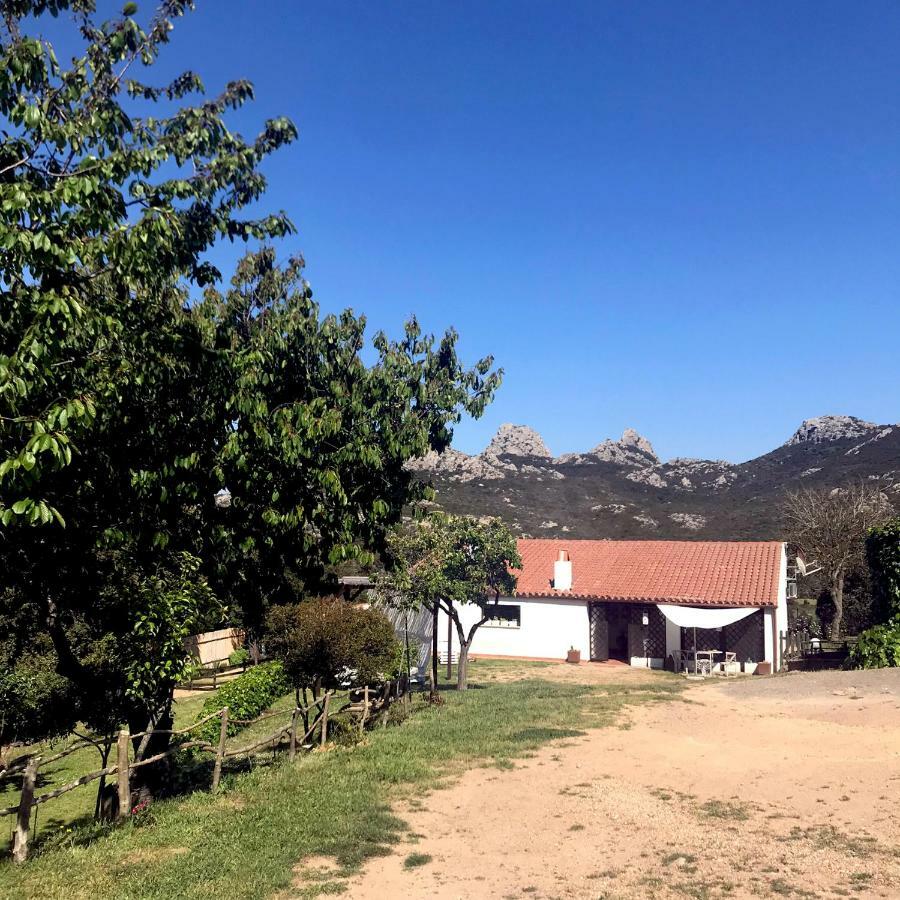 B&B La Tasgia Aggius Dış mekan fotoğraf